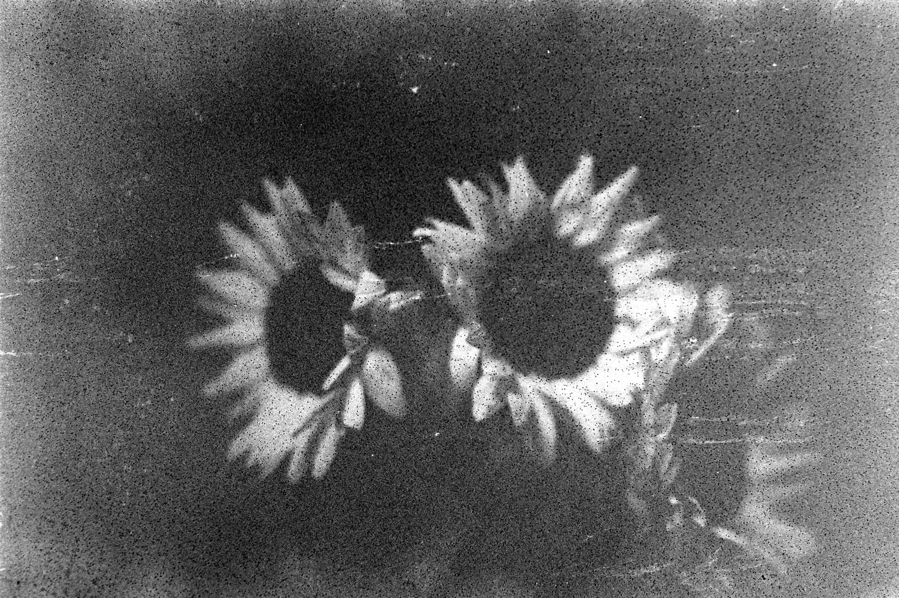 <i>Untitled</i>, 2024. Photo-paper mounted on dibond, 23 5/8 x 15 3/4 in (40 x 60 cm)